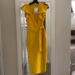 Walker Ruffle Sleeve Tie Wrap Dress- New with tags